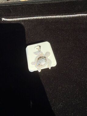 $450 Moissanite & 925 Sterling Turtle Pendant (no chain)